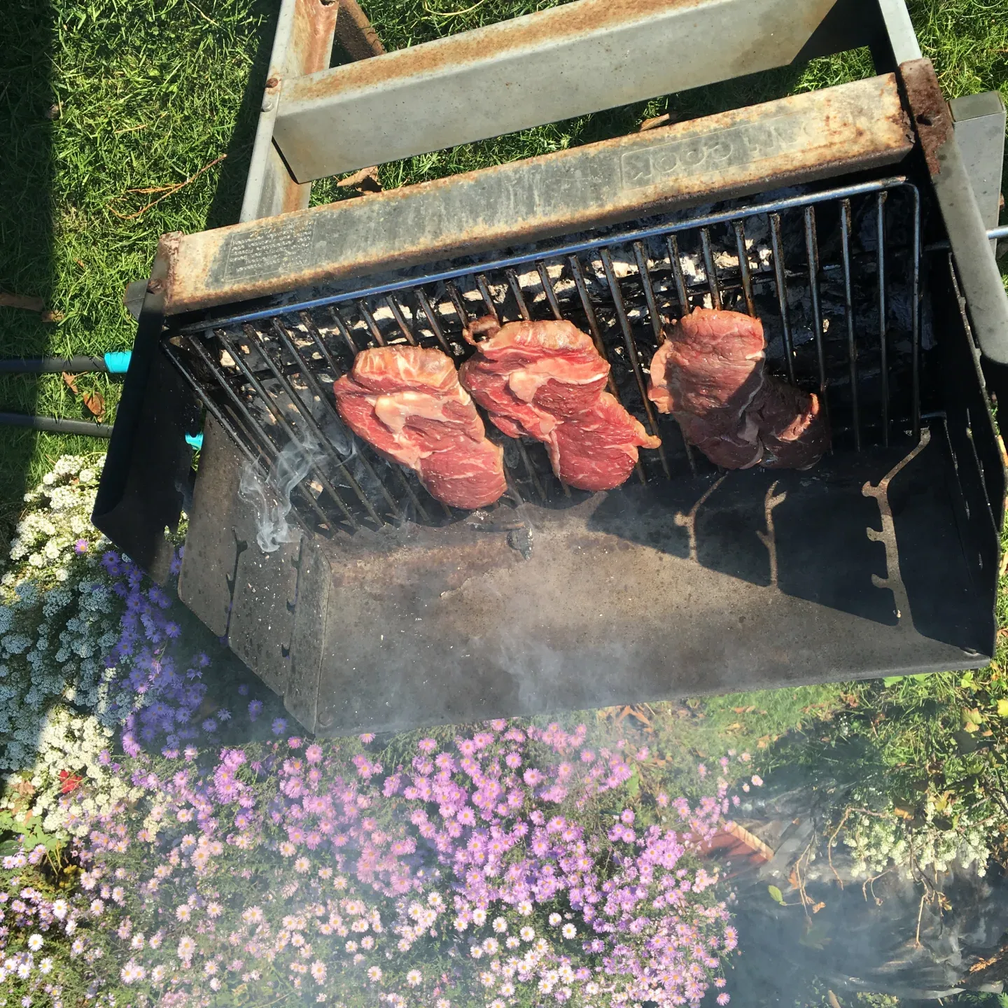 Drei Steaks auf rustikalem Gartengrill mit Rauch und Sommerblumen im Hintergrund