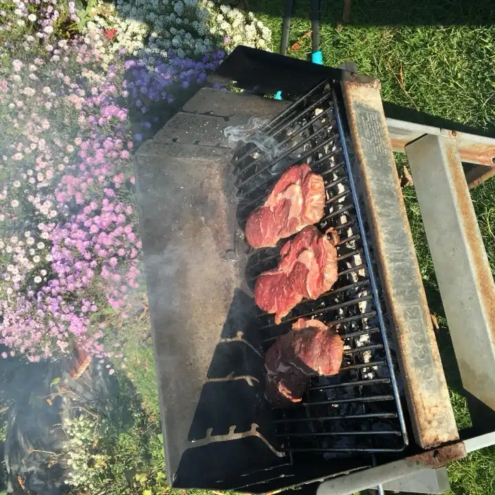 Drei marinierte Steaks auf dem Gartengrill von oben
